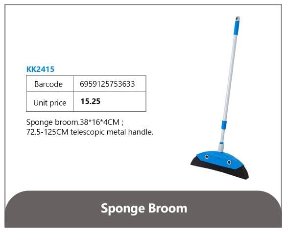 Sponge Broom